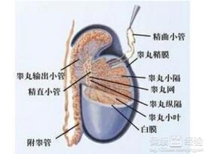 第1步